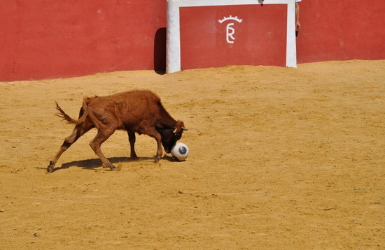 Capea en Asturias