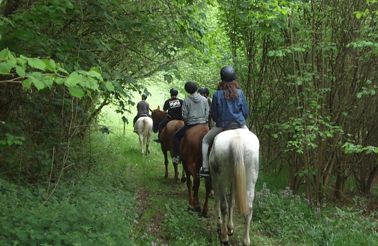 Rutas a caballo en Arriondas