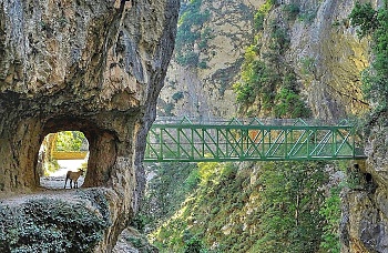 Las mejores rutas de Senderismo en Asturias