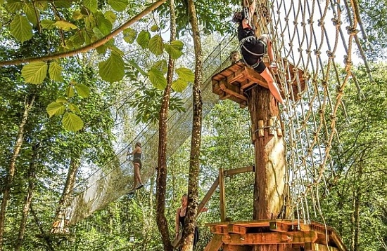 Aventura en los Árboles en Llanes