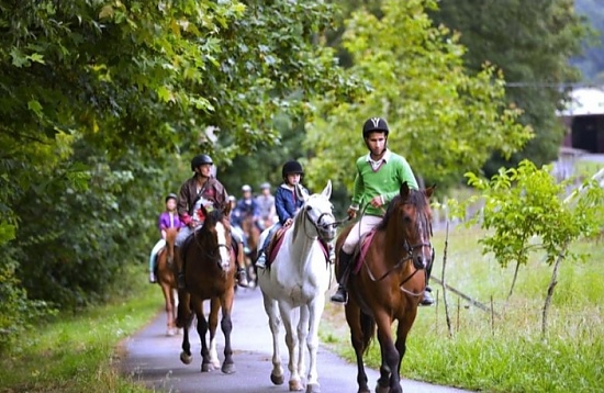 Rutas Caballo